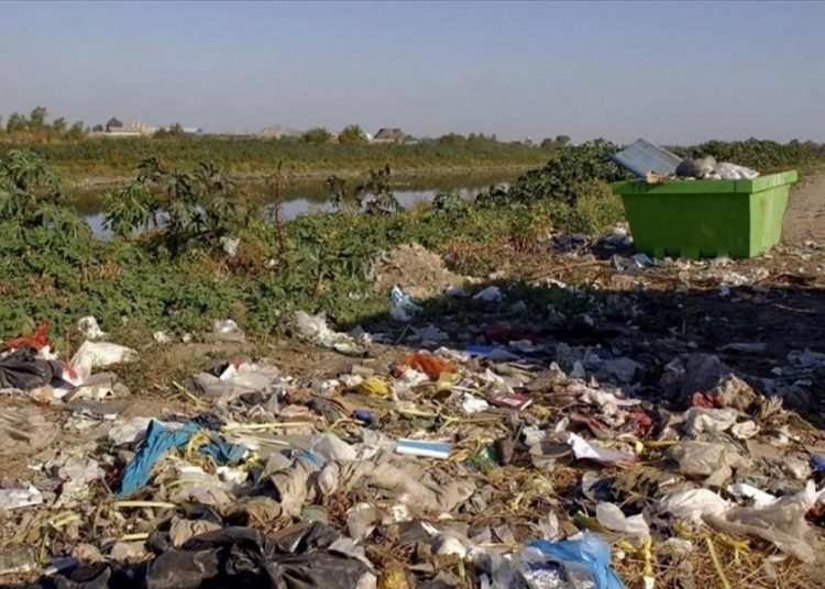 Pelean por comida en un basural de Corrientes