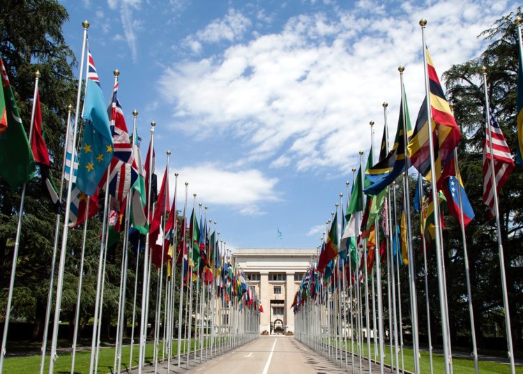 El nuevo orden mundial según la ONU