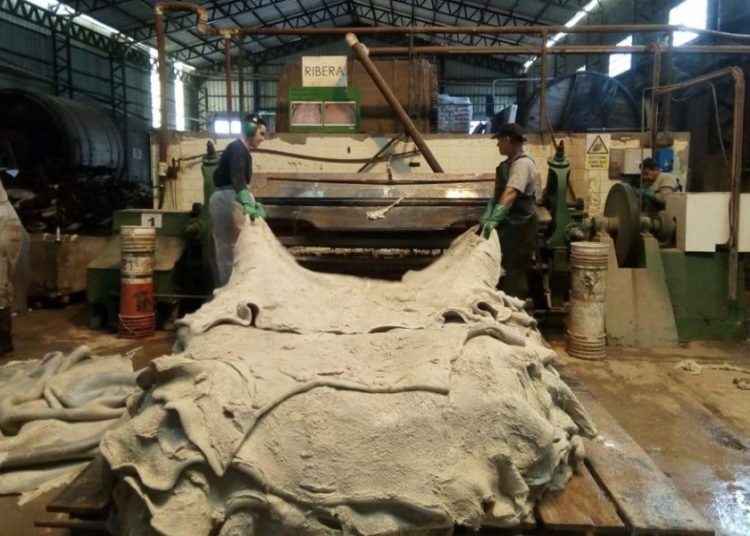 Futuro del Trabajo: “Planteamos una jornada laboral de seis horas”