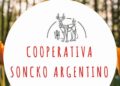 Soncko Argentino: productos artesanales con identidad propia