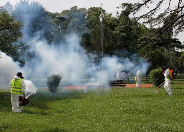 Brote de dengue en Misiones