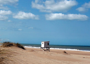 Balance semanal: Incrementos salariales, Kicillof, Nisman, Netflix y ¿vacaciones?