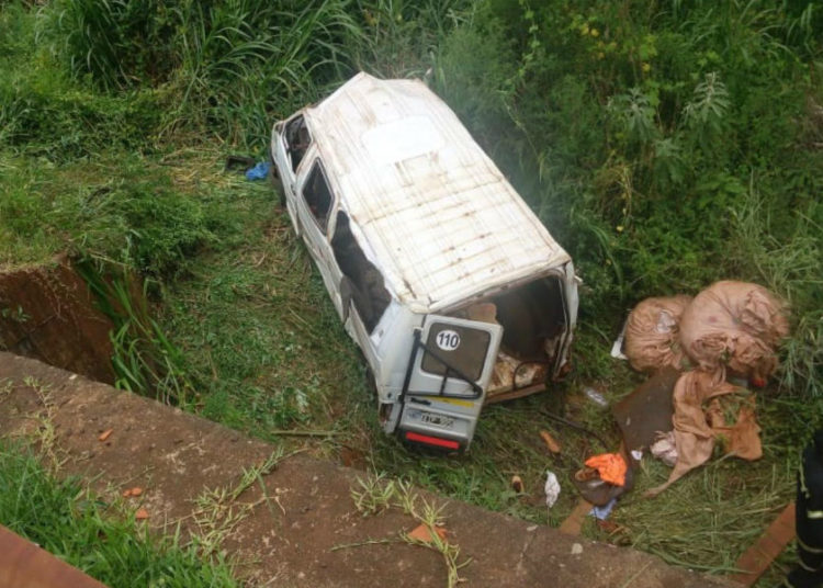 Tareferos: “Los testimonios son terribles, están shockeados”