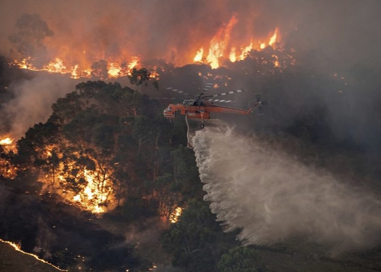 Australia. La ciencia predijo los incendios y la política lo ignoró