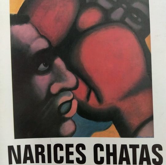 Narices Chatas: recuerdos a las piñas