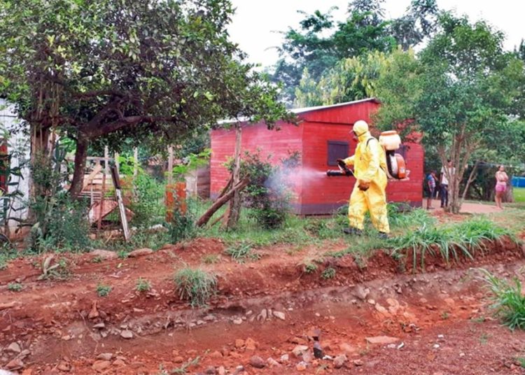 Misiones pelea “codo a codo” contra el dengue