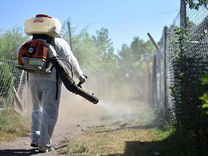 El dengue no da respiro en Chaco Radio Gr fica