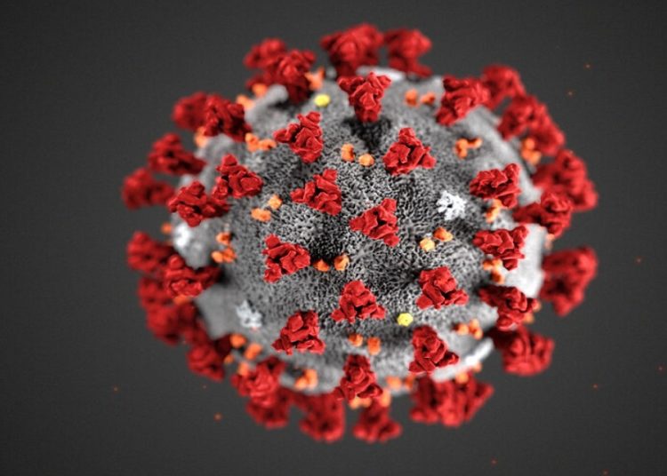 Curiosidades pandémicas. Enseñanzas de un virus en el sistema