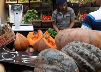 En tiempos de cuarentena, alimentos cooperativos a precios justos con envío a domicilio