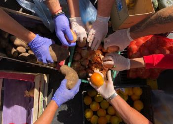 Organización y solidaridad ante la pandemia