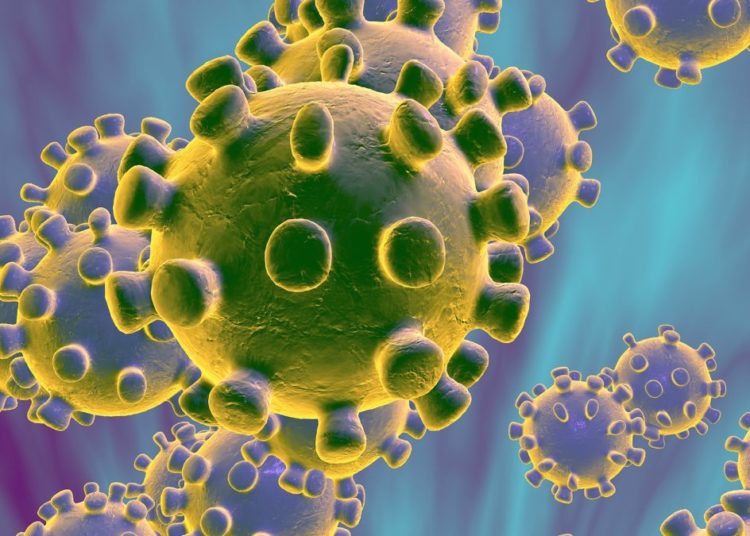 En detalle, de qué se trata el genoma completo de coronavirus que encontró el Malbrán