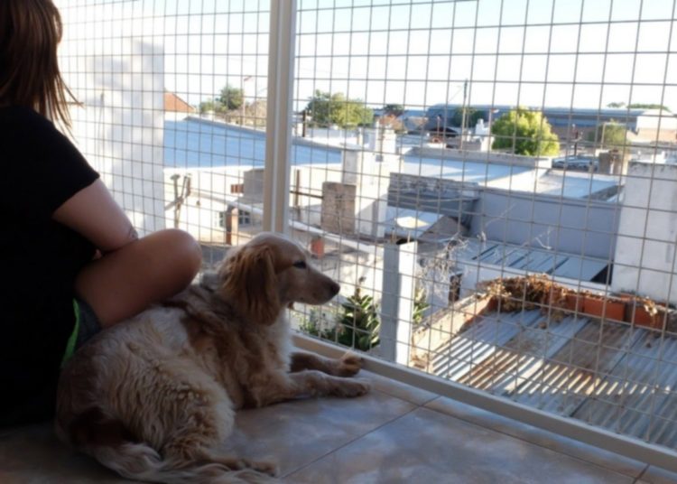 Fotos: Pablo Presti-La Nueva