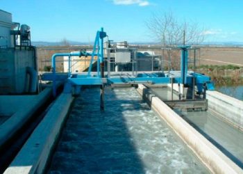 Ibuprofeno: el impensando daño colateral que genera su consumo