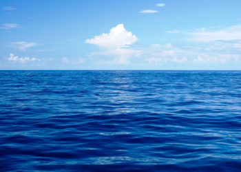 El virus que fuerza a pensar. Parte I