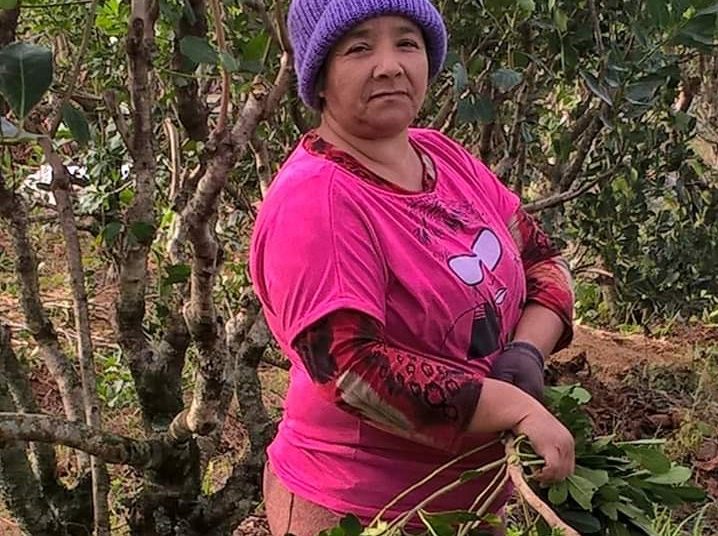 Trabajo golondrina en pandemia, un sector invisibilizado de la producción rural