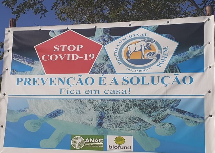 Covid 19. ¿Cuál es el panorama sanitario en África?