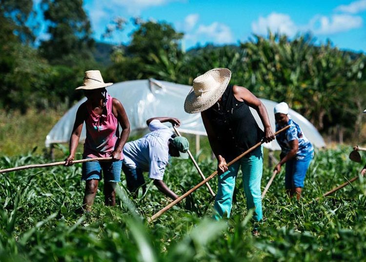 Detalles del ReNaTEP. Cómo y quiénes pueden inscribirse al registro de la economía popular