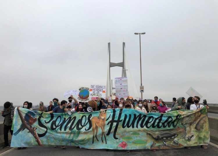 Crónica urgente por la Ley de Humedales
