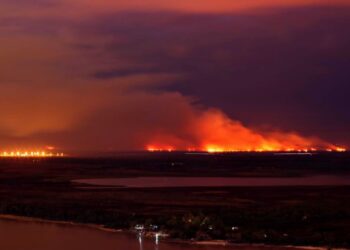 Incendios en el delta del Paraná ¿Por qué suceden?
