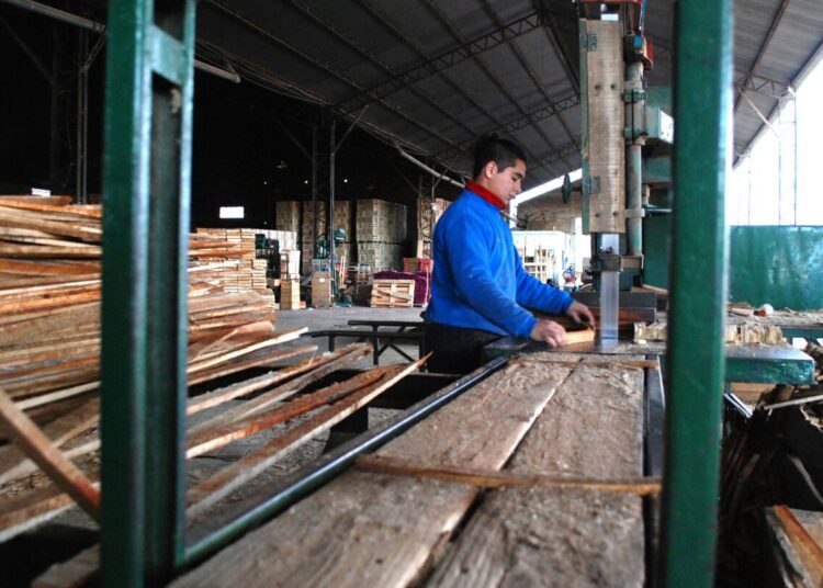 Un dueño fantasma, con complicidad judicial y política, busca desalojar a Empresa Recuperada en Río Negro
