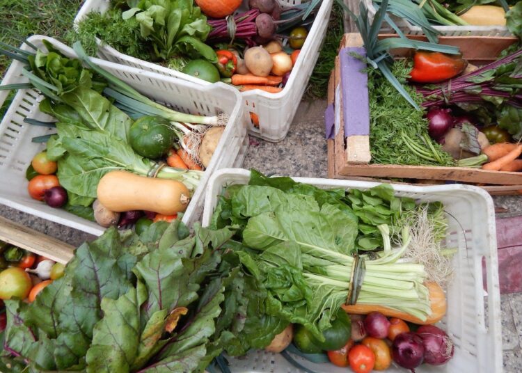La Boca. Comedor vende bolsones de verdura agroecológica para sostener la entrega de raciones