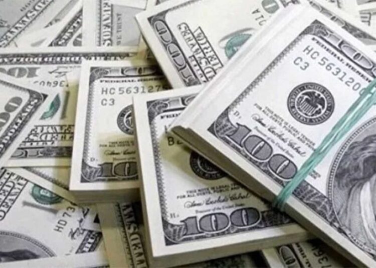 El dólar y el Presupuesto Nacional 2021