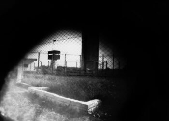 “Hacer vivir, hacer morir”, relatos que buscan libertad