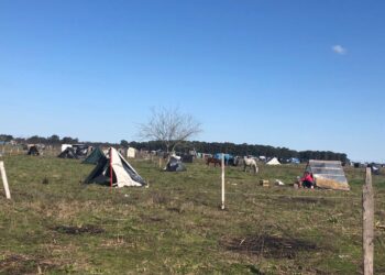 Foto: Radio Gráfica