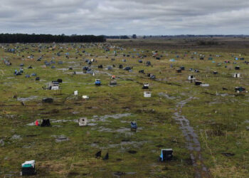 Toma de Guernica. La respuesta del Gobierno Provincial significa “más hacinamiento”