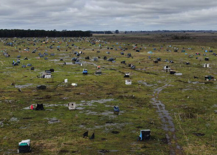 Toma de Guernica. La respuesta del Gobierno Provincial significa “más hacinamiento”