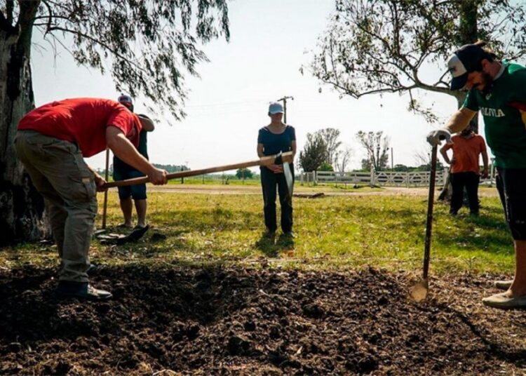 Proyecto Artigas: Hacia una necesaria transición agroecológica