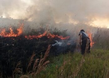 Incendios en Misiones: la proliferación del Ecocidio