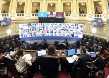 Senado. La carta completa del bloque del Frente de Todos al FMI