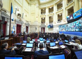 Es ley el Aporte Solidario y Extraordinario a las grandes fortunas