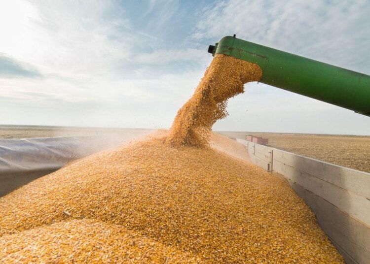 El riesgo de la primarización de la economía argentina