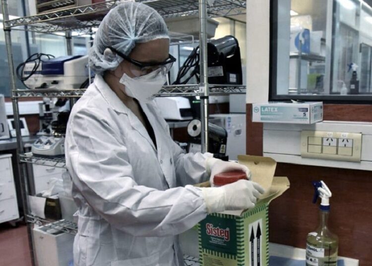 Covid-19. El Malbrán, la Sputnik V, los humanos, la naturaleza y los virus