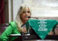 Pilatti Vergara consideró “hipócrita e irresponsable” la cautelar que anula la ley de aborto en Chaco