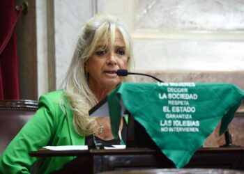 Pilatti Vergara consideró “hipócrita e irresponsable” la cautelar que anula la ley de aborto en Chaco