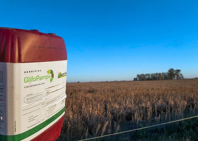La Pampa: sanción a una empresa que enterraba bidones de agrotóxicos