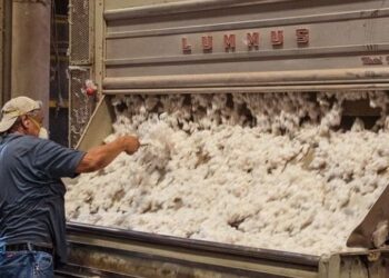 Desmotadores de algodón acordaron su paritaria. Básico alcanzará los $71.786