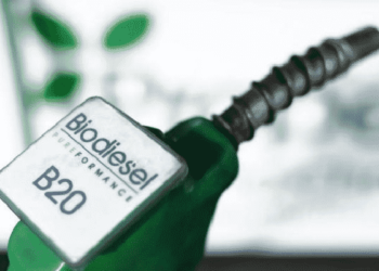 Biocombustibles: cómo regular su producción y uso