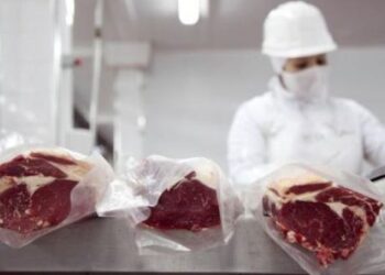 Precios. Cierre de exportaciones de carne por un mes