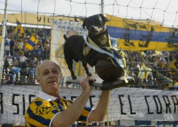 Perros futboleros: una raza aparte