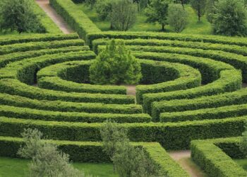 El movimiento obrero del futuro