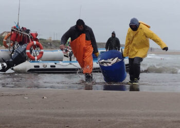 Pescadazo en Congreso: se venderán productos a $100 el kilo