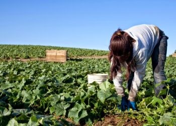 Ana Cubilla: “La oligarquía nos necesita pobres para seguir pagándonos salarios de pobreza”