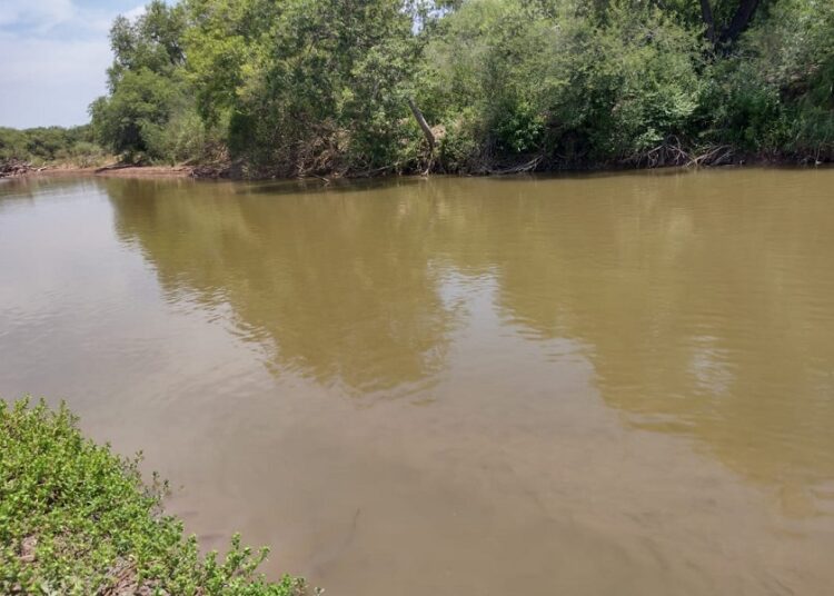 El MOCASE pide intervención estatal ante la contaminación del Río Salado
