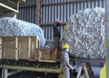 Paritaria Desmotadores de Algodón. Salario inicial será de 112 mil pesos desde mayo