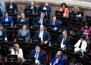 Senado. FdT propone impuesto a bienes no declarados en el exterior para pagar al FMI