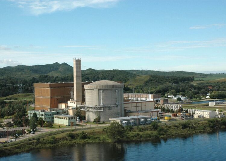 El plan nucleoeléctrico argentino, el reactor Carem y las perspectivas